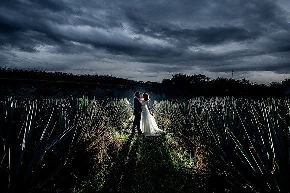 trash the dress