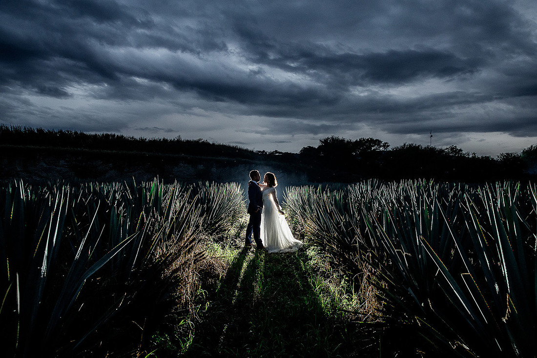 trash the dress