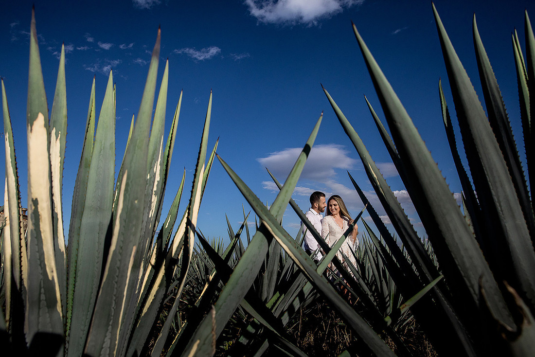 fotógrafo de bodas