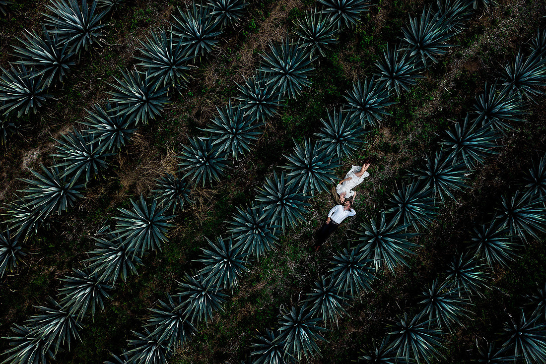 fotógrafo de bodas