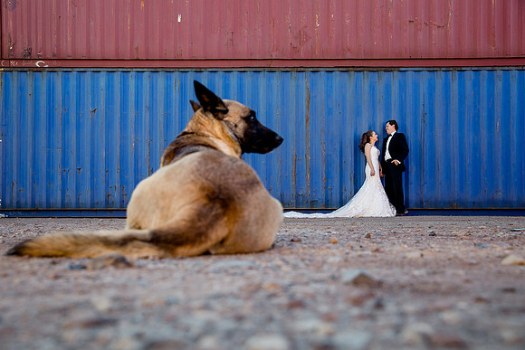 trash the dress en contenedores