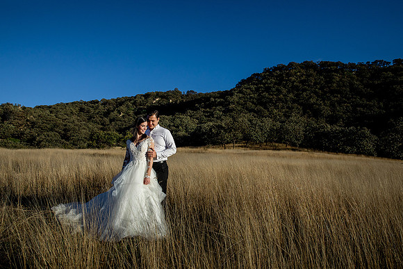 trash the dress