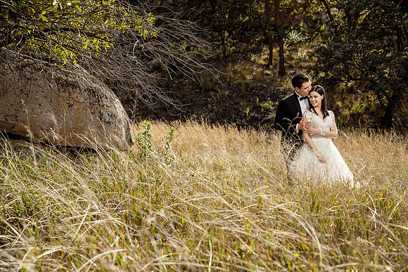 trash the dress