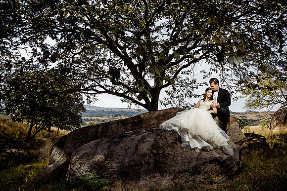 trash the dress