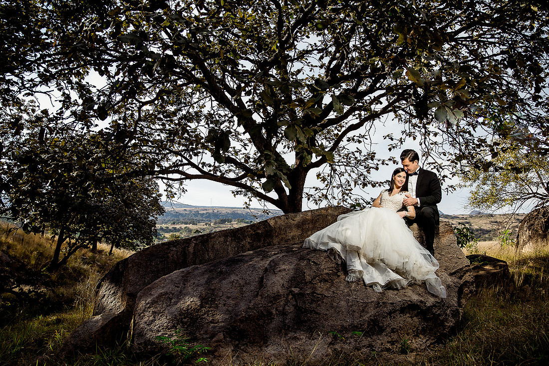 trash the dress