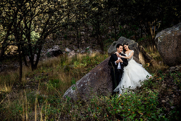 trash the dress