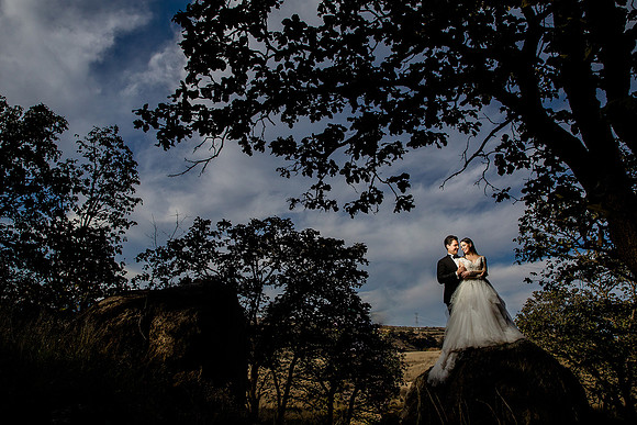 trash the dress