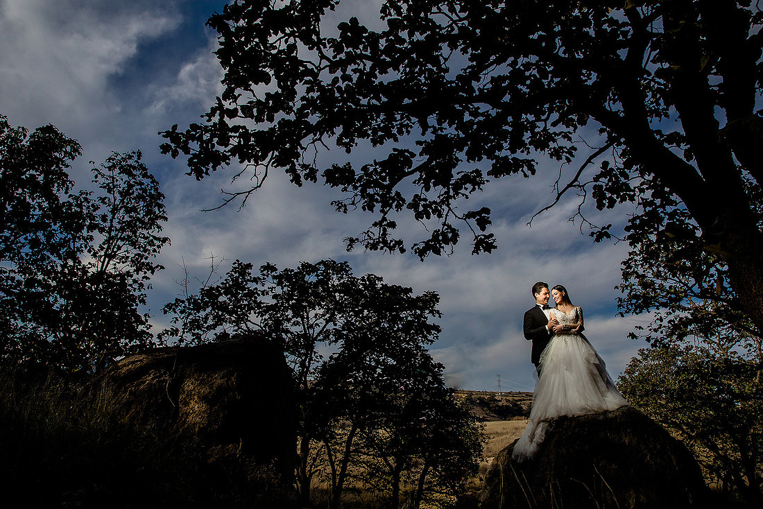 trash the dress