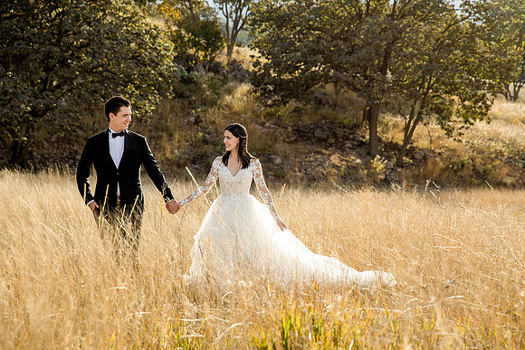 trash the dress