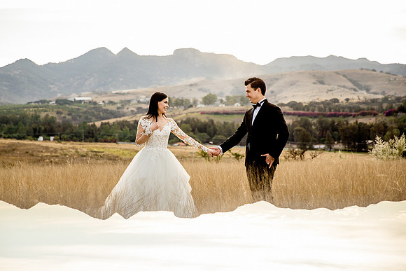 trash the dress