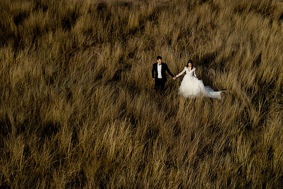 trash the dress
