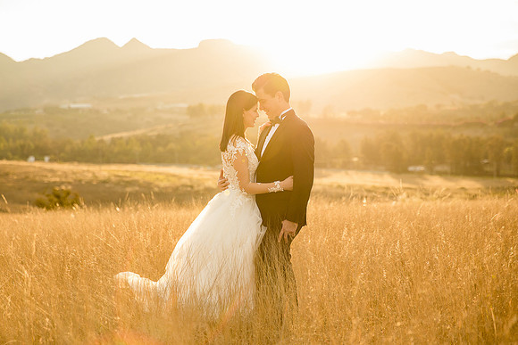 trash the dress