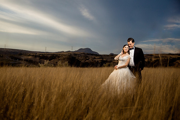 trash the dress
