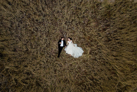 trash the dress