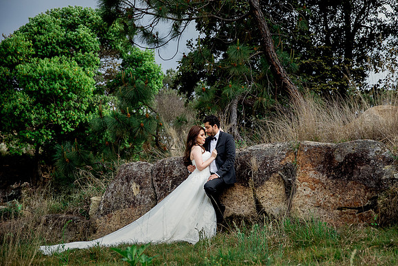 trash the dress