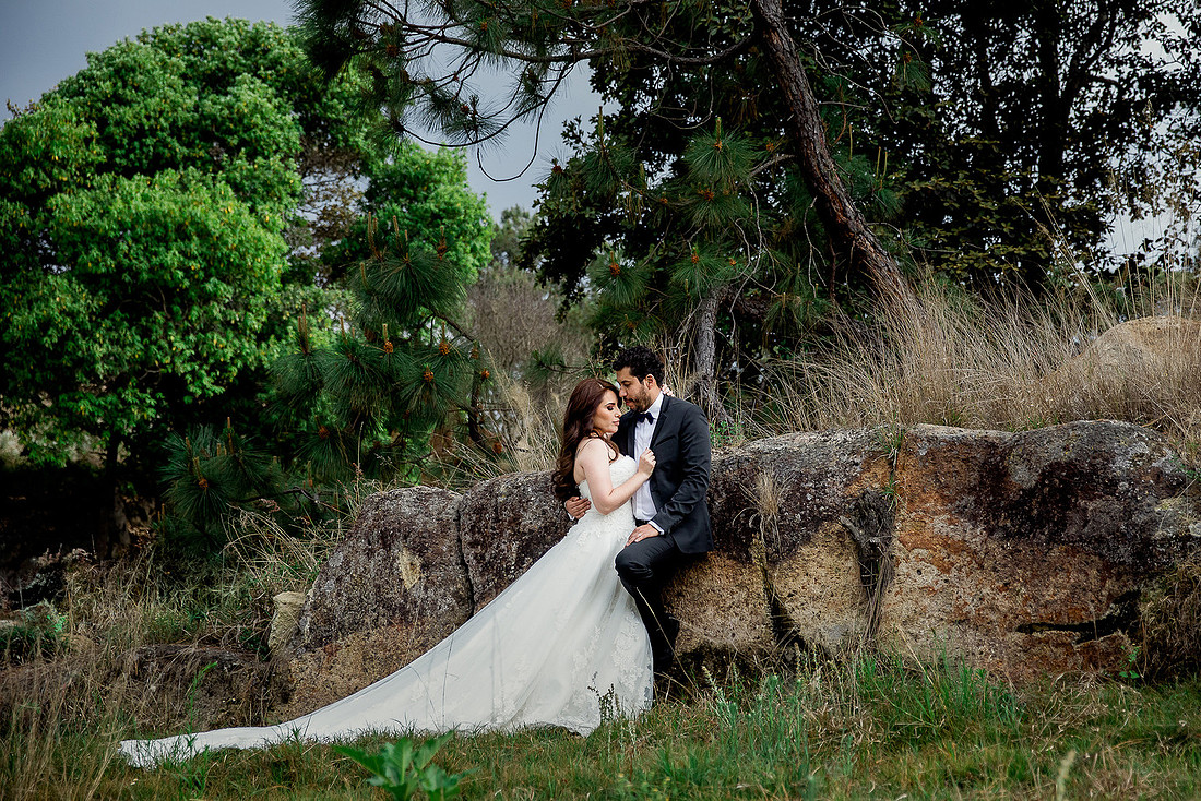 trash the dress