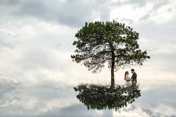 trash the dress