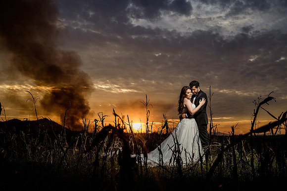 trash the dress