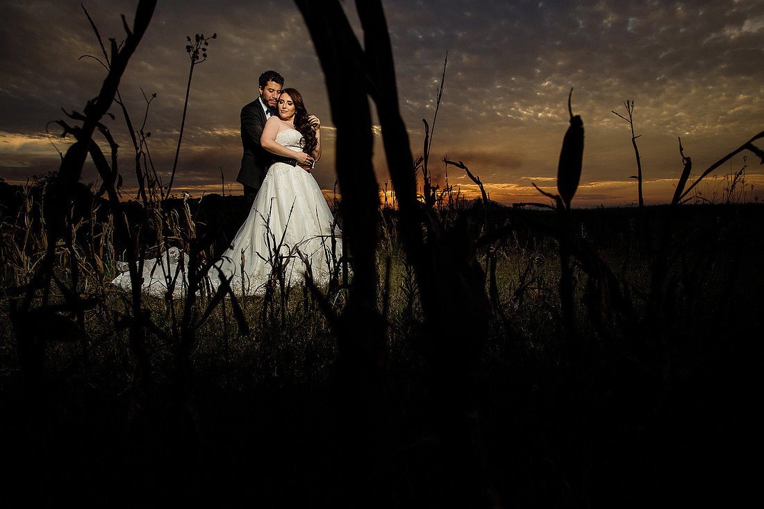 trash the dress