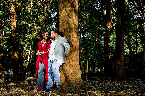 bosque los colomos