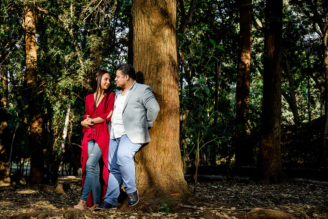 bosque los colomos