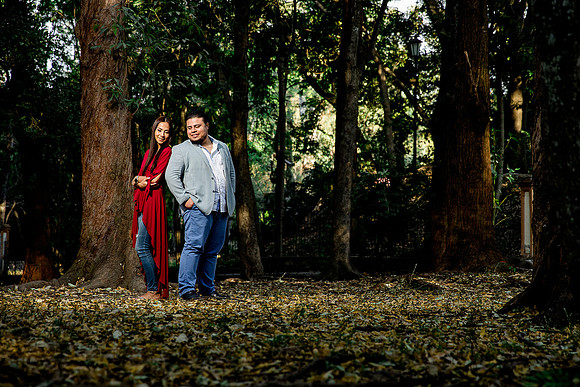 bosque los colomos