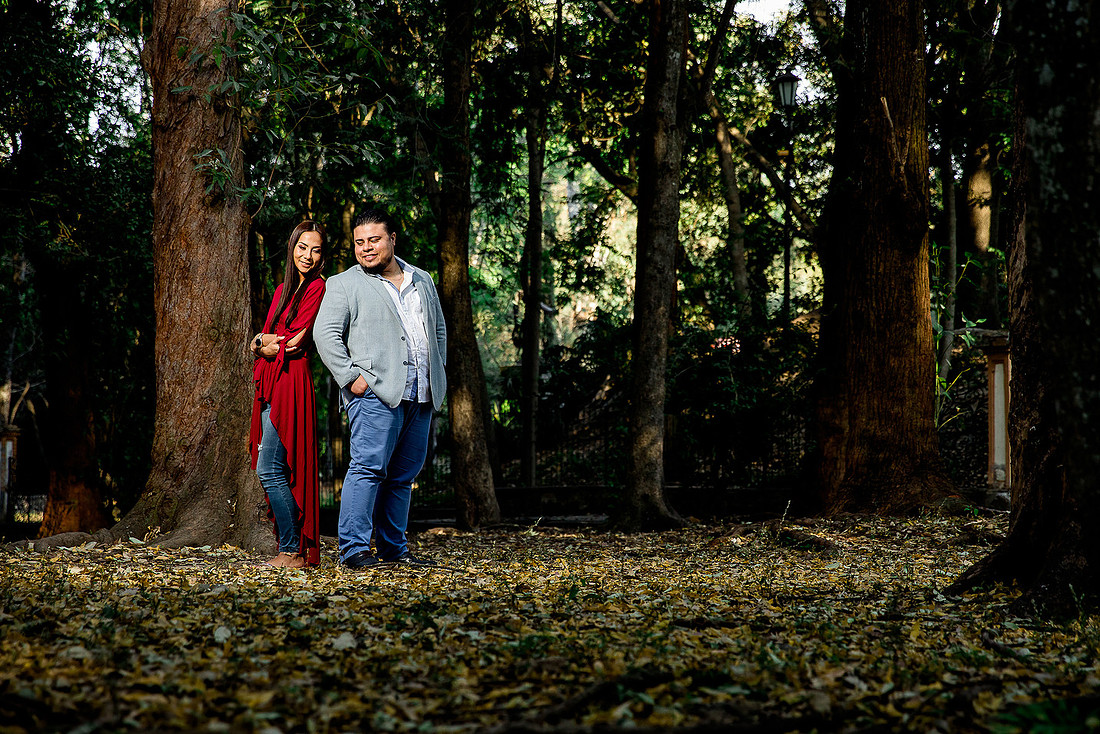 bosque los colomos