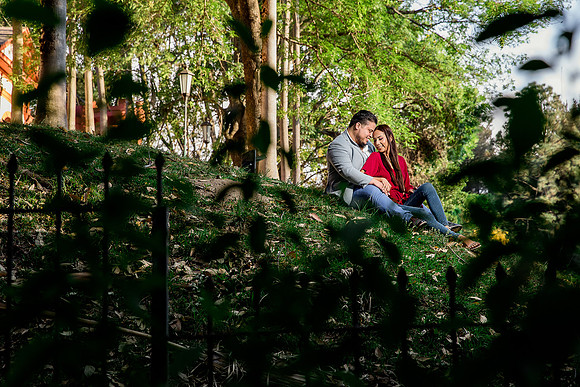 bosque los colomos
