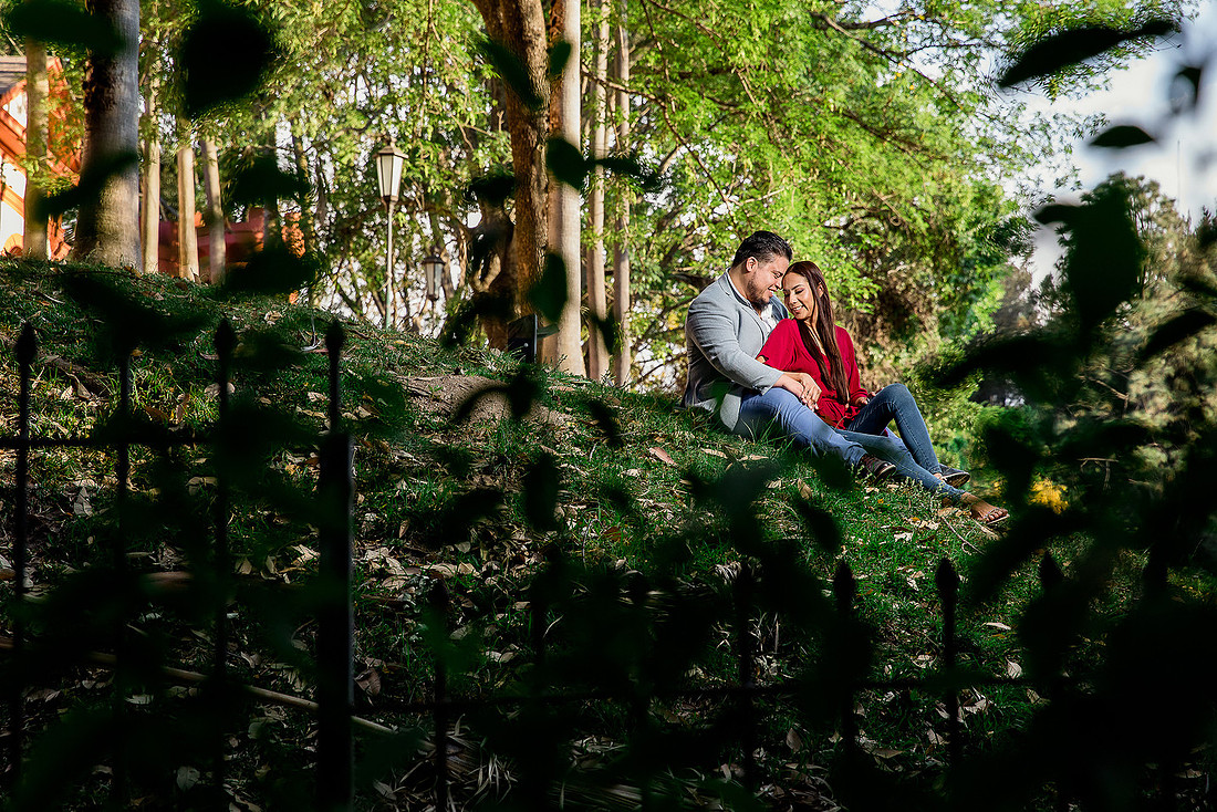 bosque los colomos