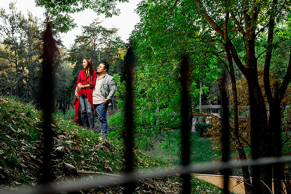 bosque los colomos