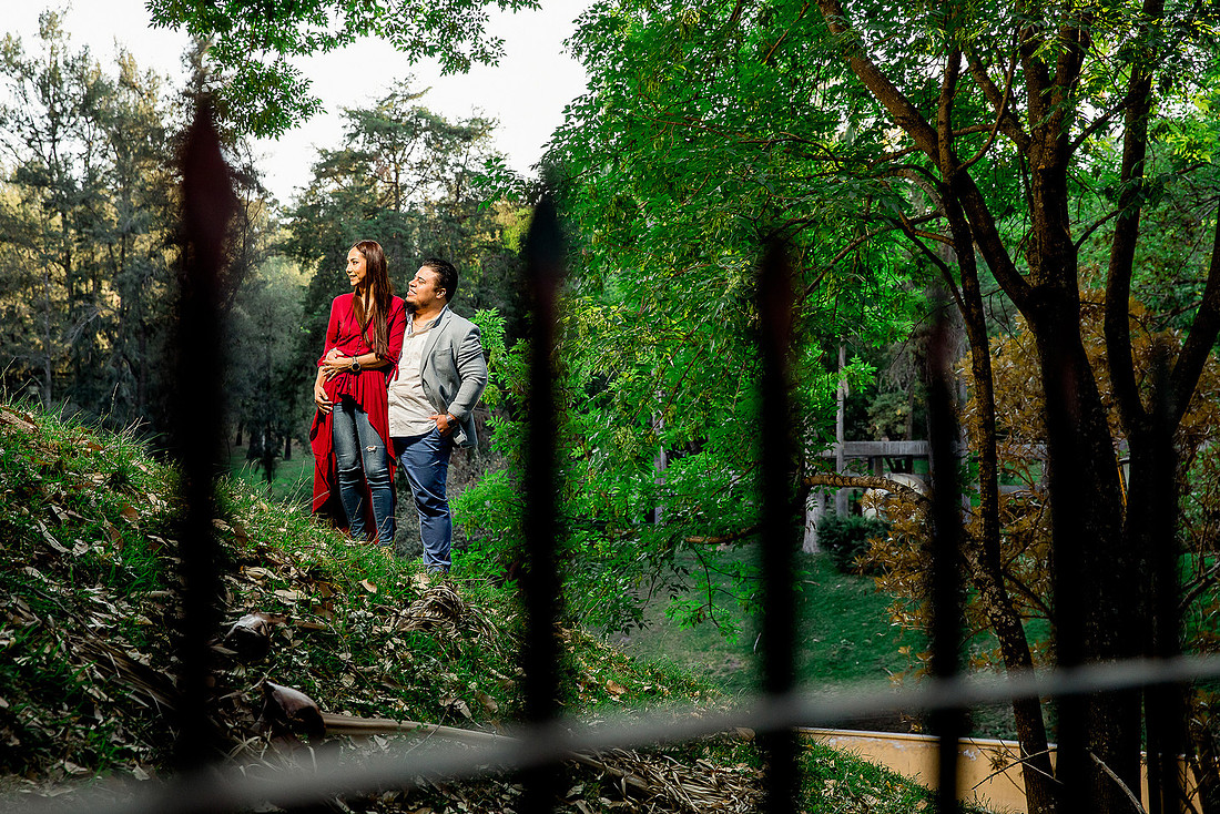 bosque los colomos