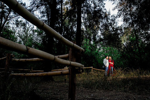 bosque los colomos