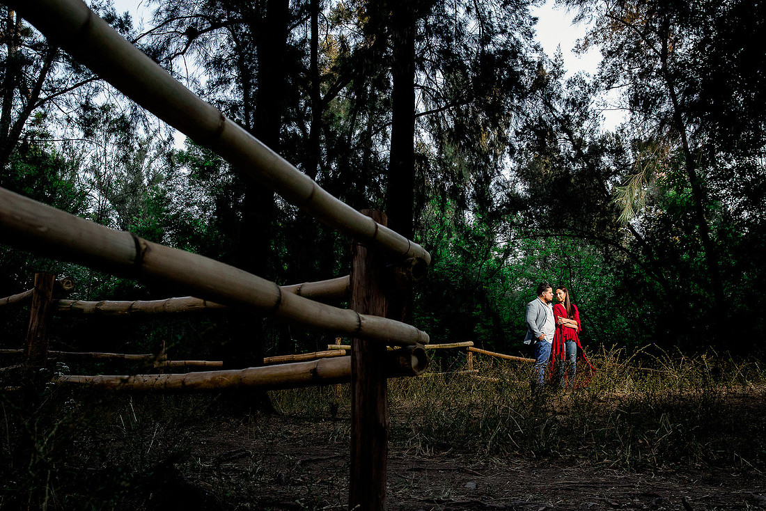 bosque los colomos