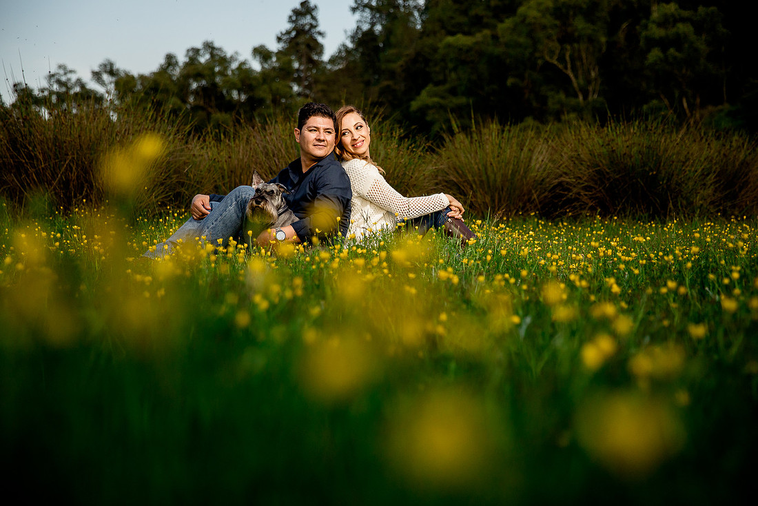 fotografo de bodas 