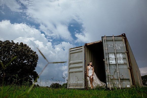 trash the dress