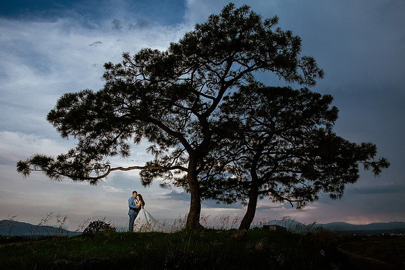 trash the dress