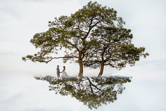trash the dress