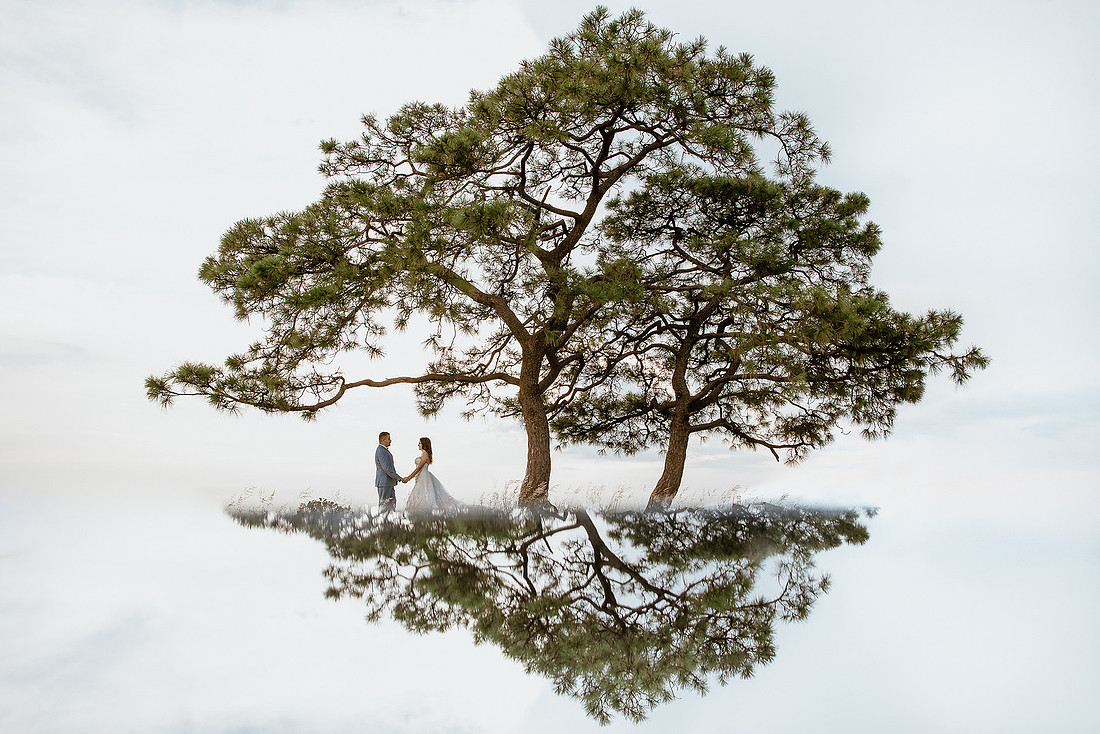 trash the dress