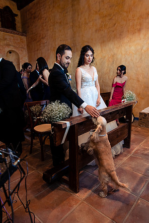 fotógrafo de bodas guadalajara