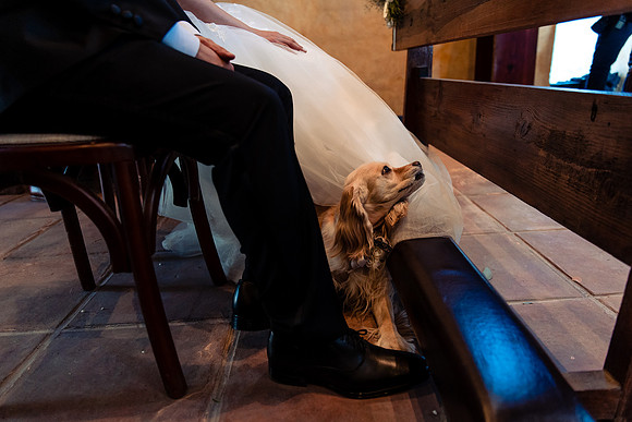 fotógrafo de bodas guadalajara