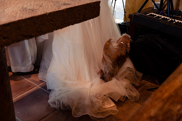 fotógrafo de bodas guadalajara