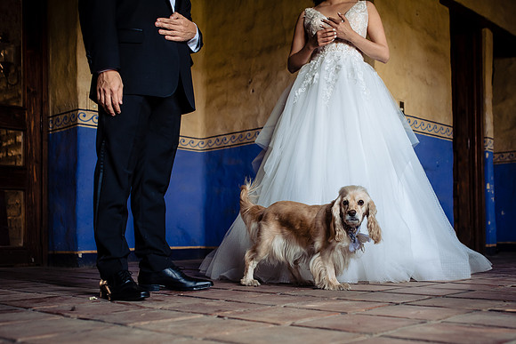 fotógrafo de bodas guadalajara