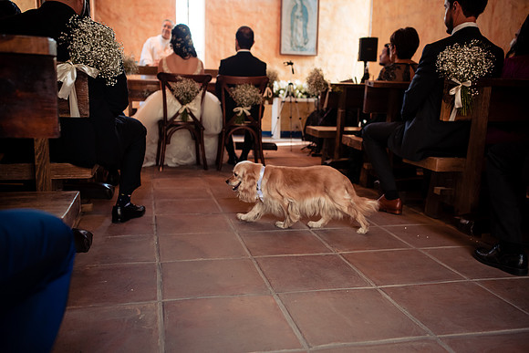 fotógrafo de bodas guadalajara