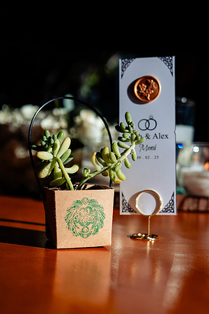 fotógrafo de bodas guadalajara