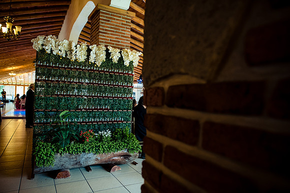 fotógrafo de bodas guadalajara