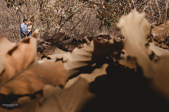 fotografo bodas guadalajara