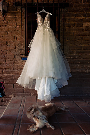 fotógrafo de bodas guadalajara