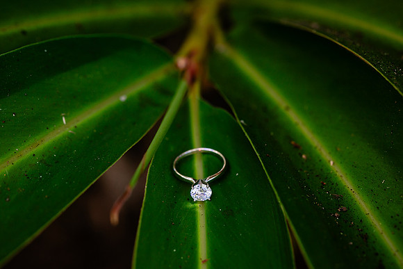 fotógrafo de bodas puerto vallarta