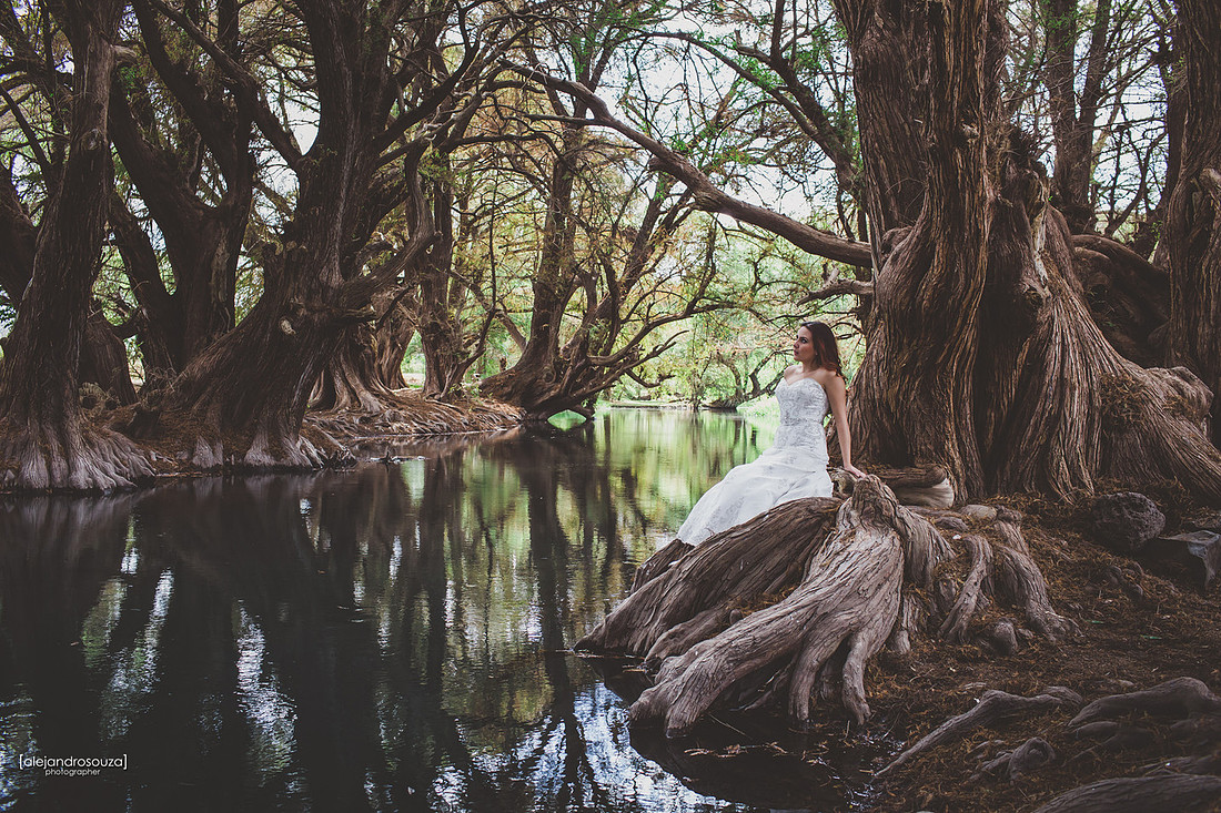 fotografo bodas guadalajara