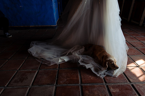 fotógrafo de bodas guadalajara